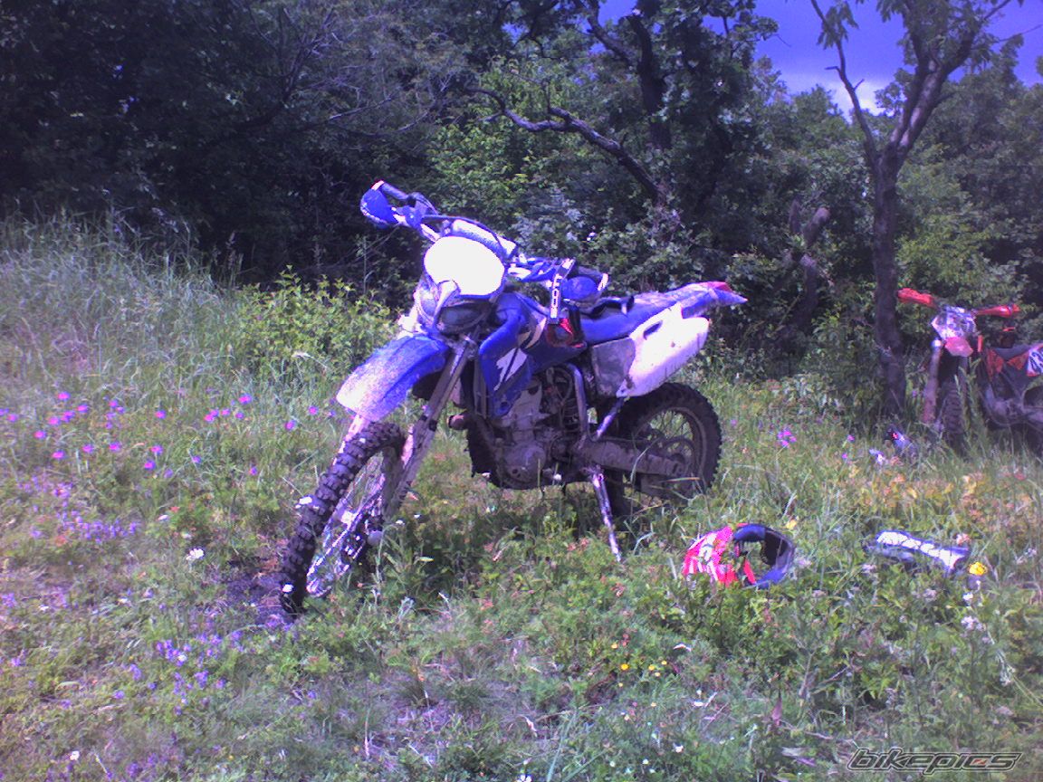 Photo 630375