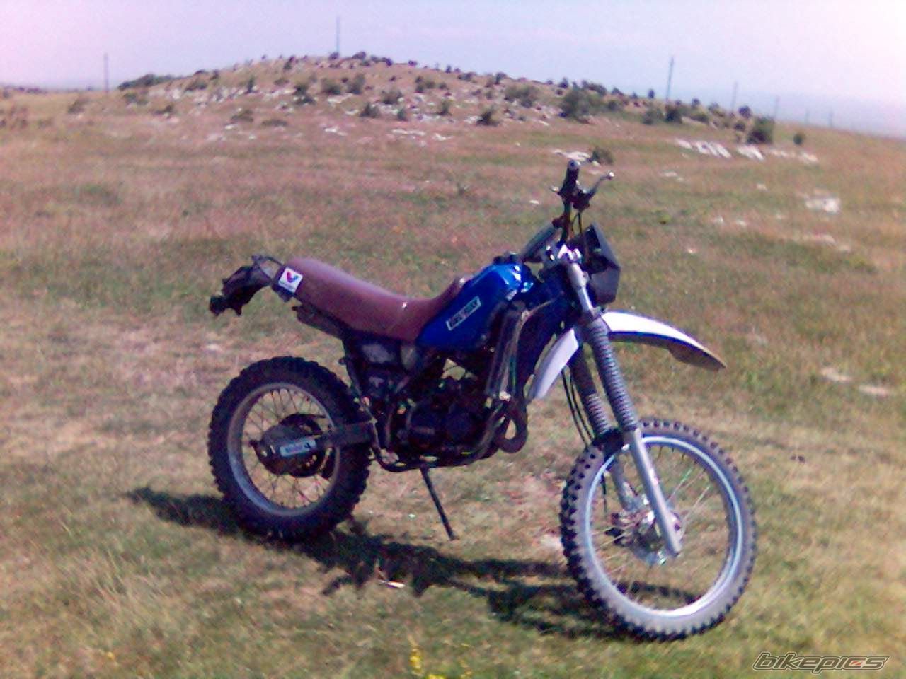 Photo 630394
