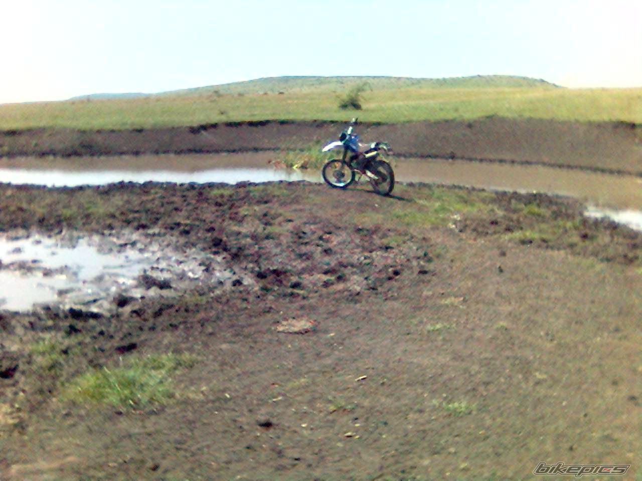 Photo 630397