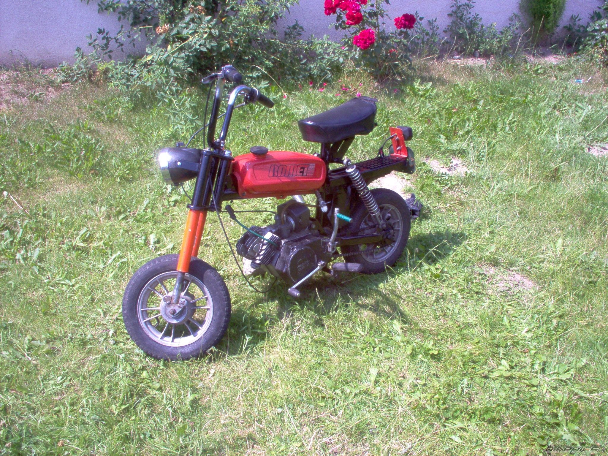 Photo 630574