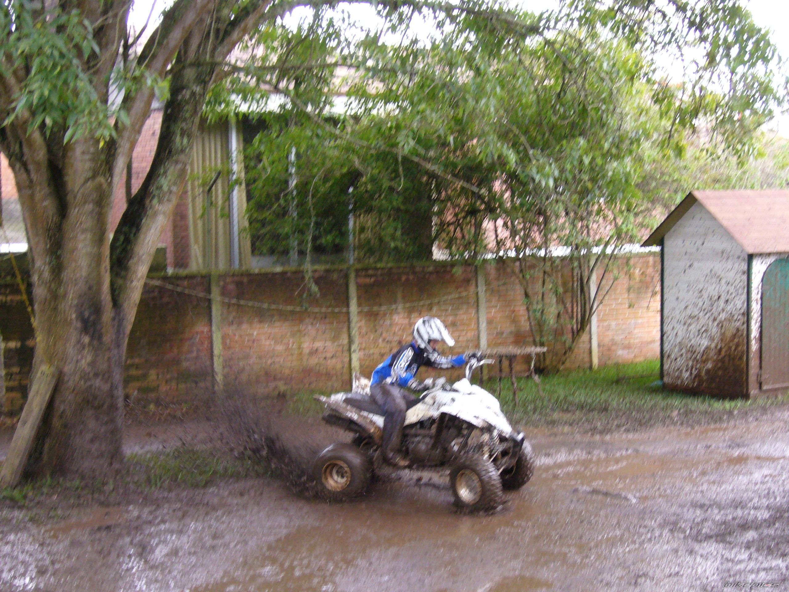 Photo 630608