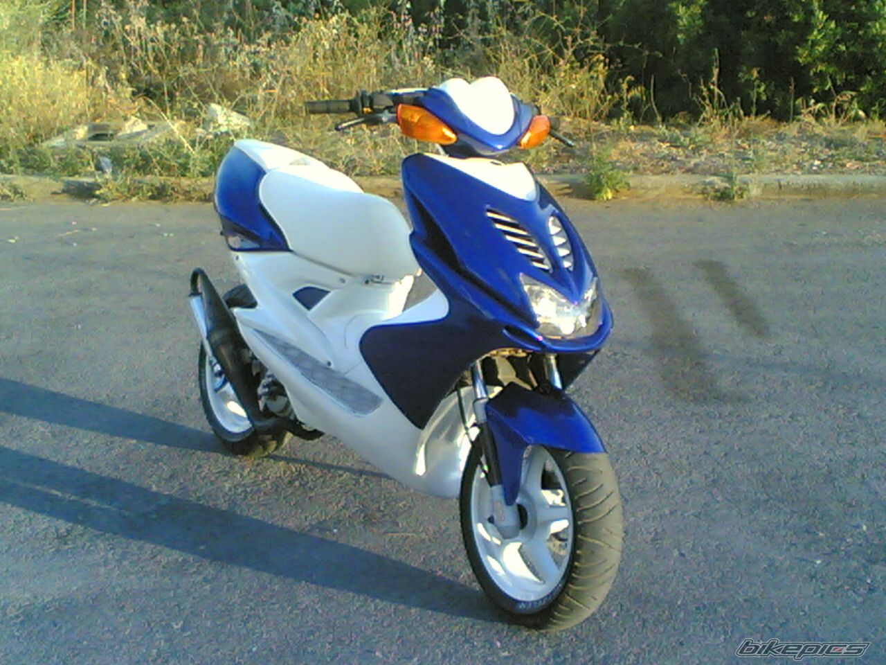 Photo 630738