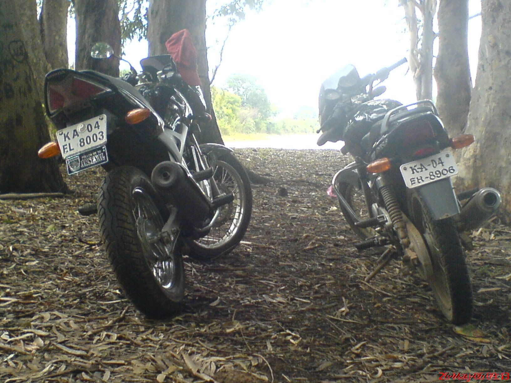 Photo 630797