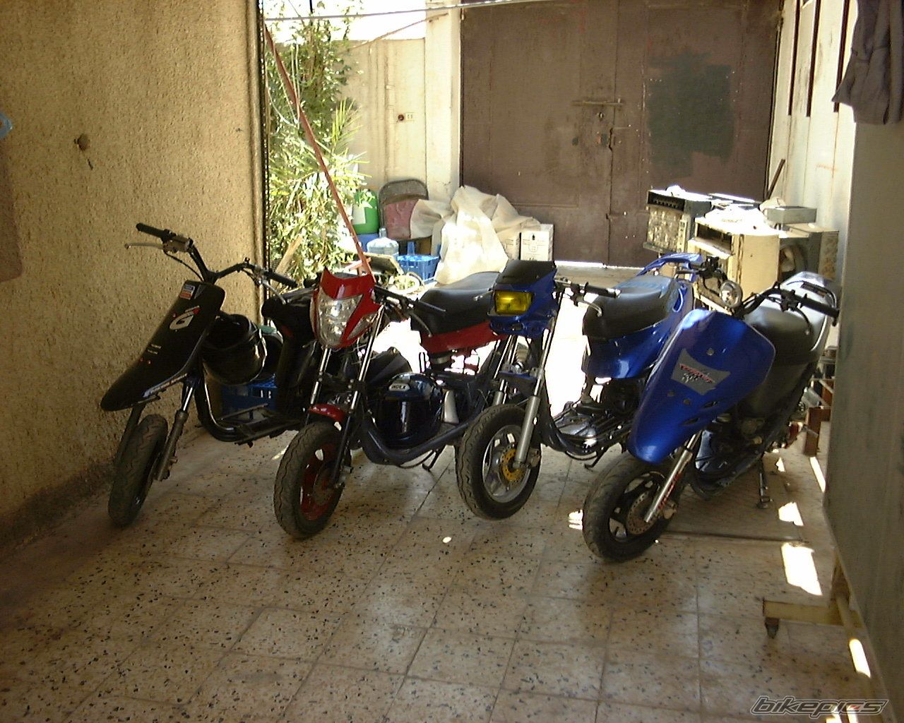 Photo 630891