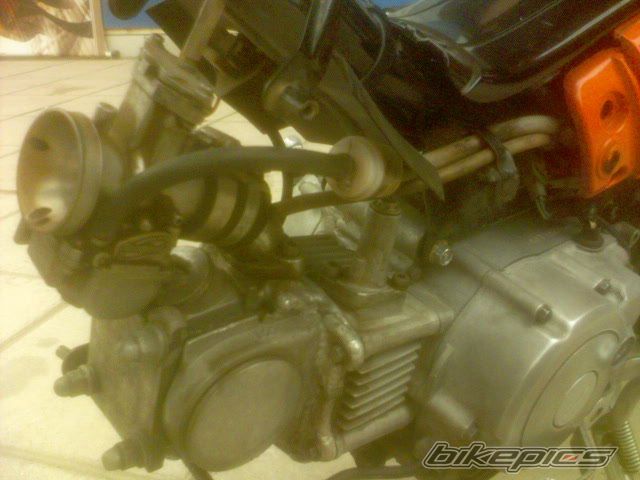Photo 631135