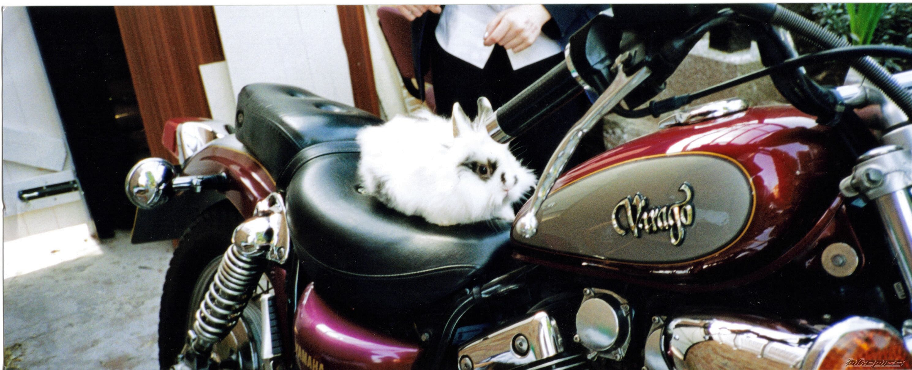 Bike Photo 631219