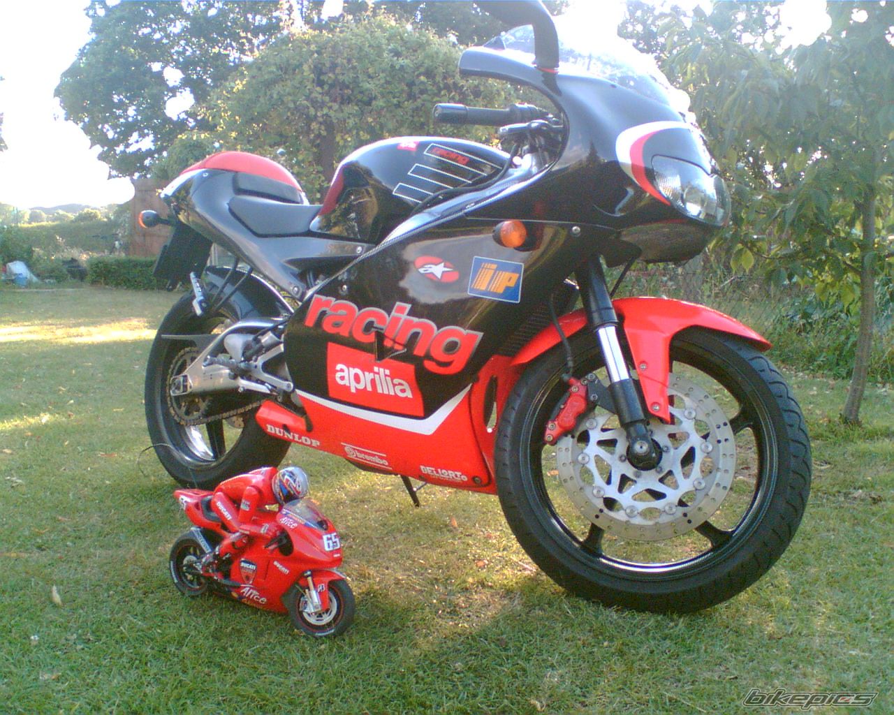 Bike Photo 631613