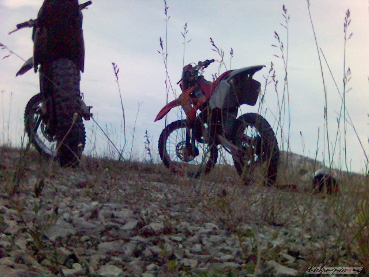 Photo 631803
