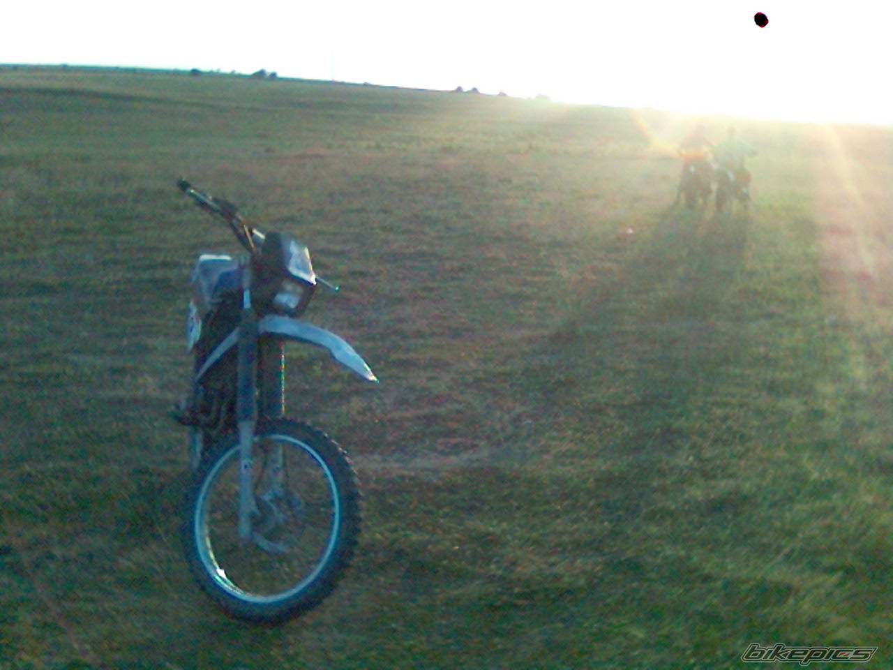 Photo 631808