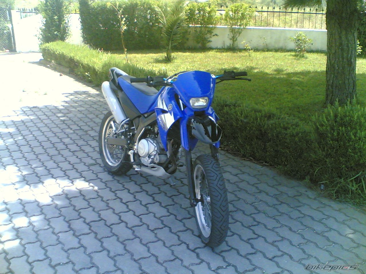 Photo 631990