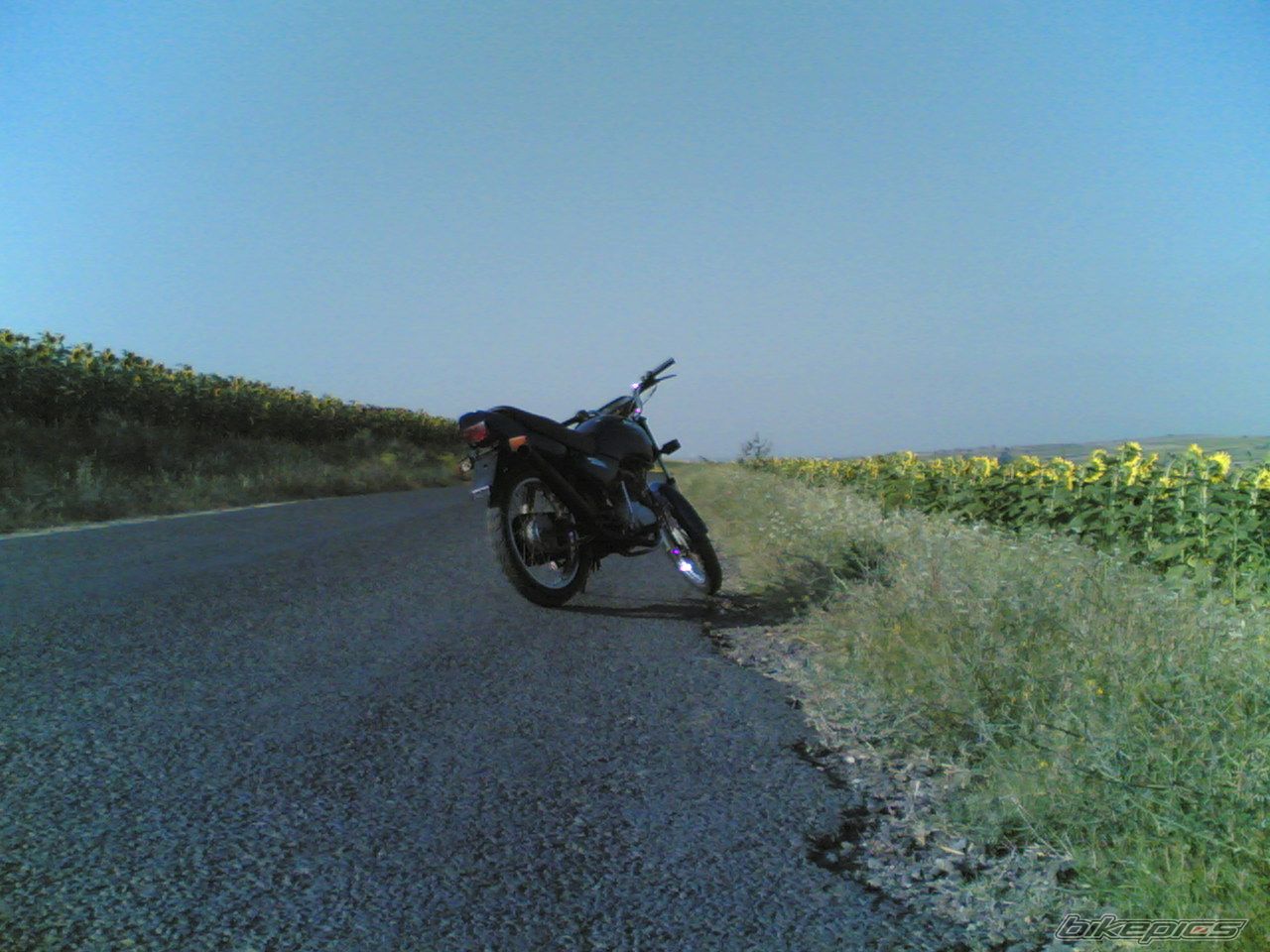 Photo 632398