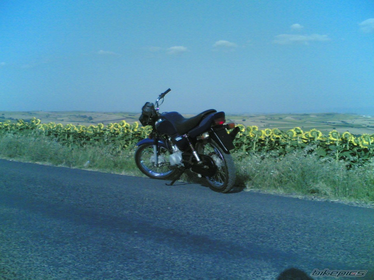 Photo 632399