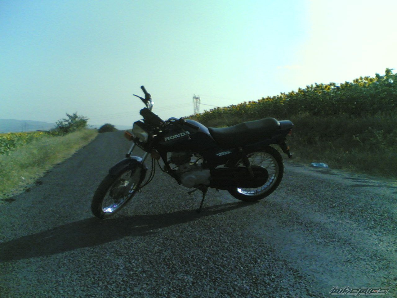 Photo 632409