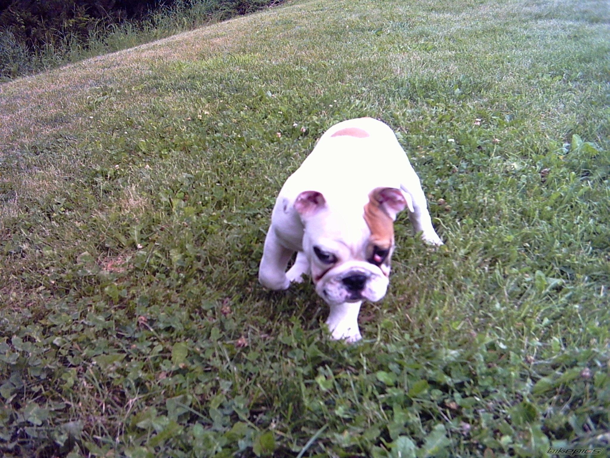 Photo 632824