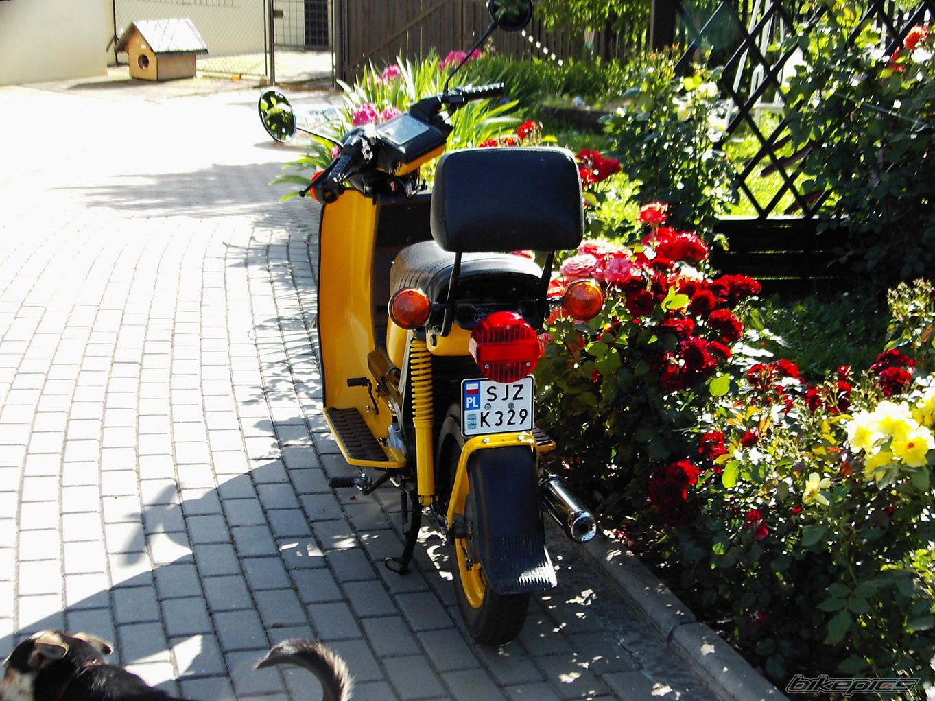Bike Photo 632915