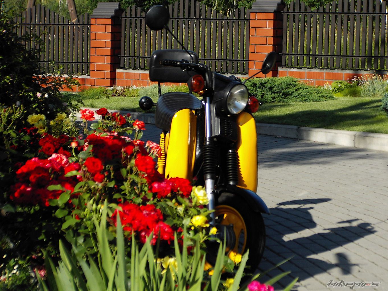 Bike Photo 632919
