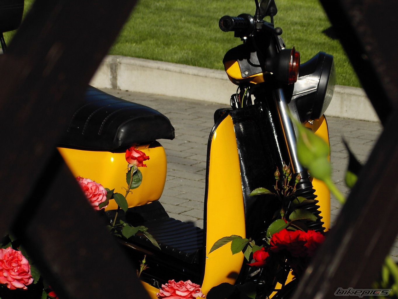 Bike Photo 632931