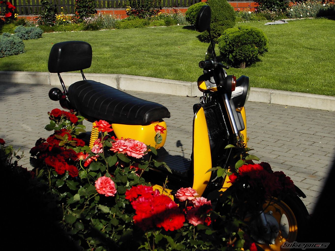 Bike Photo 632933