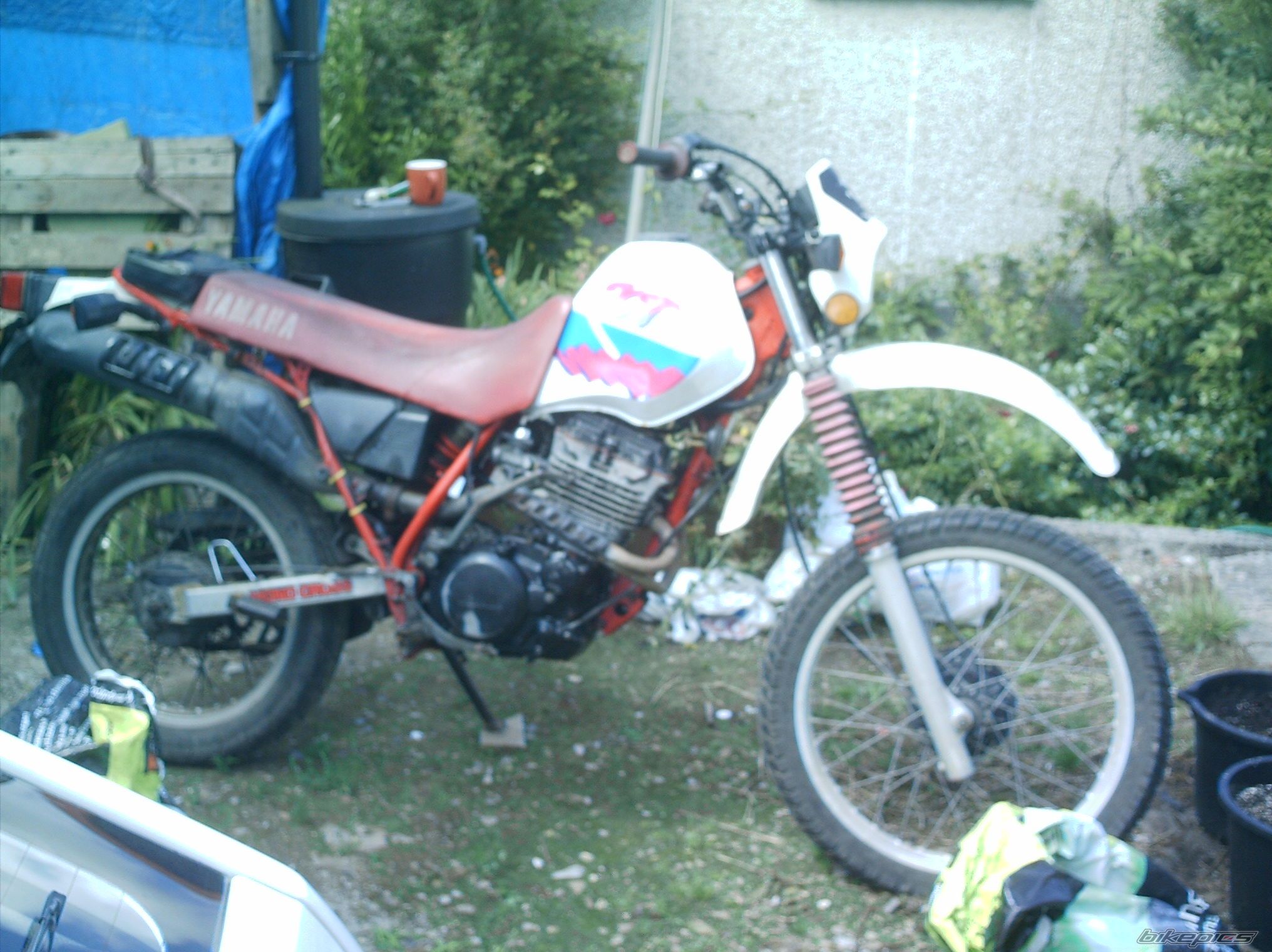 Photo 632979