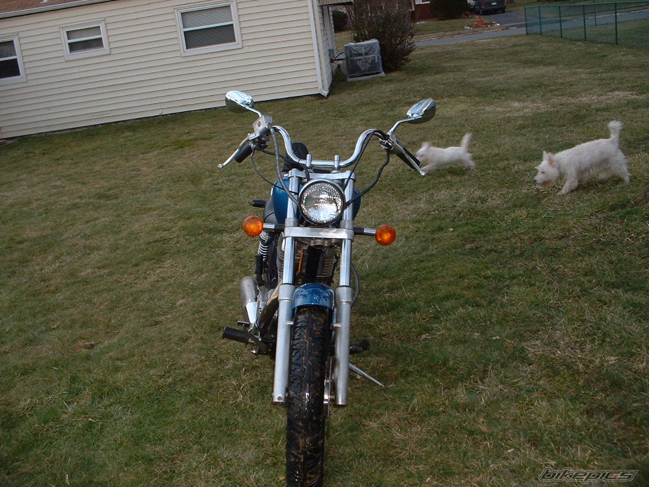 Photo 633257