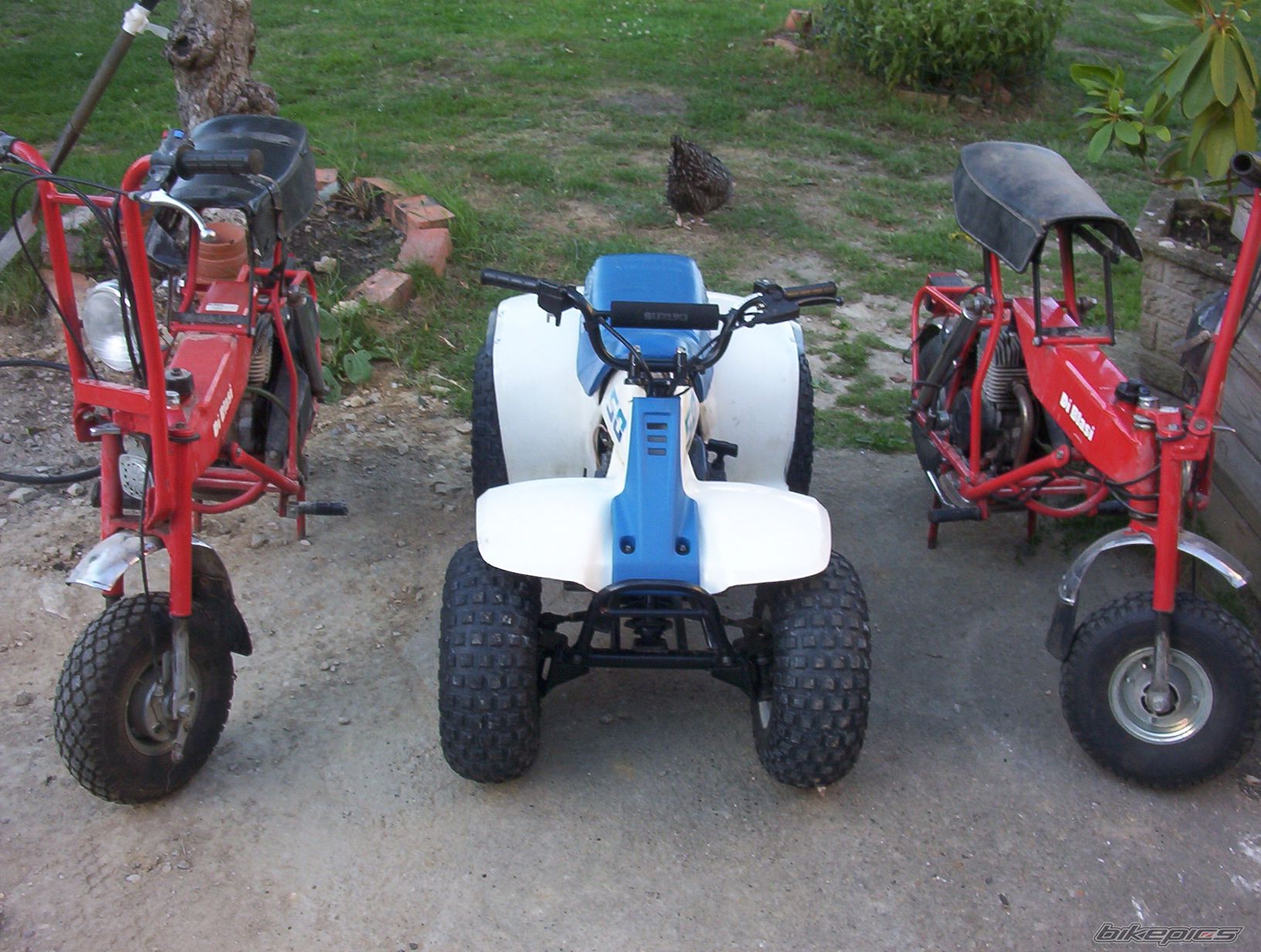 Photo 633660