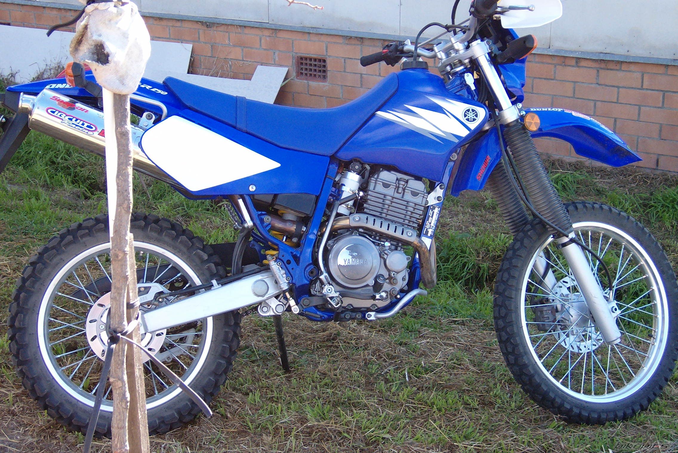 Photo 633889