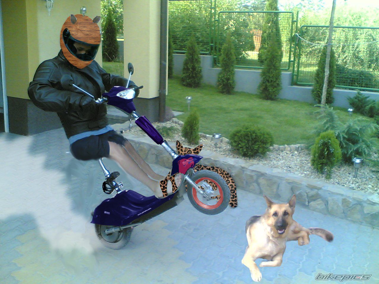 Bike Photo 633998