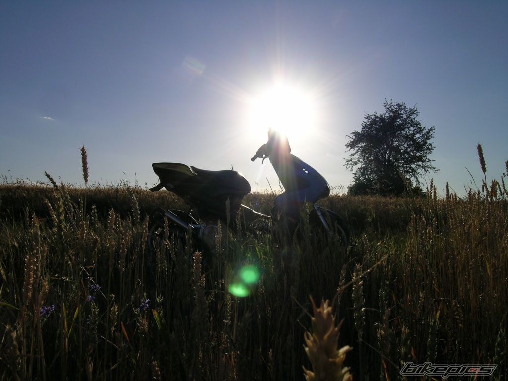 Photo 634231