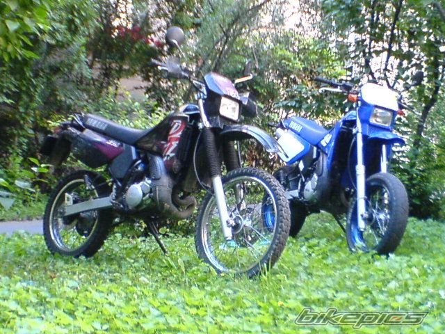 Photo 634242