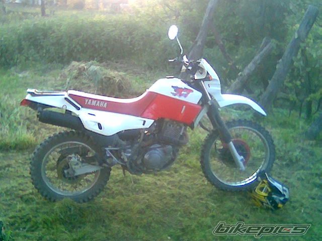 Photo 634375