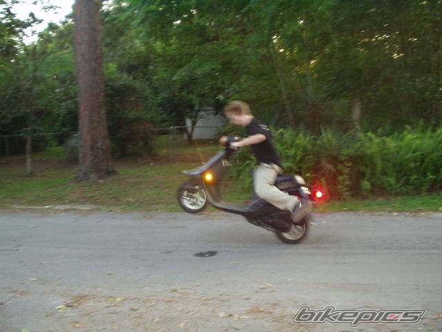 Photo 63491