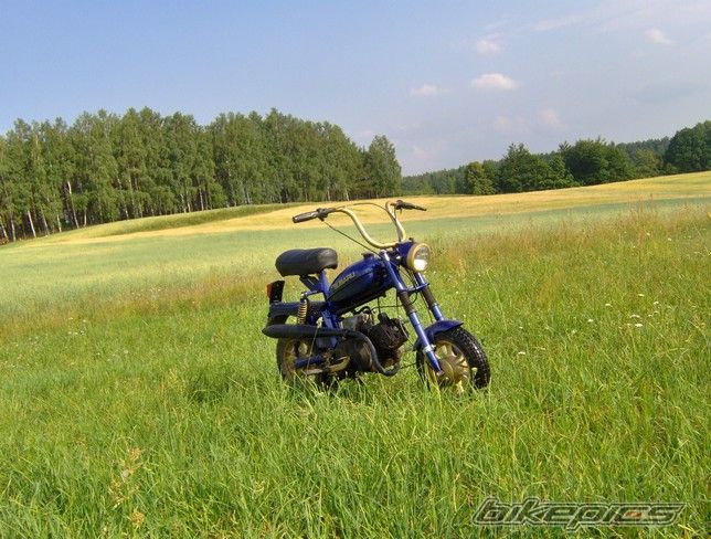 Photo 634931
