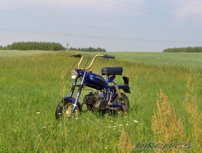 Photo 634932