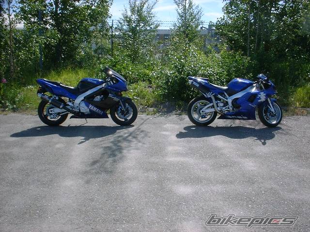 Photo 6354