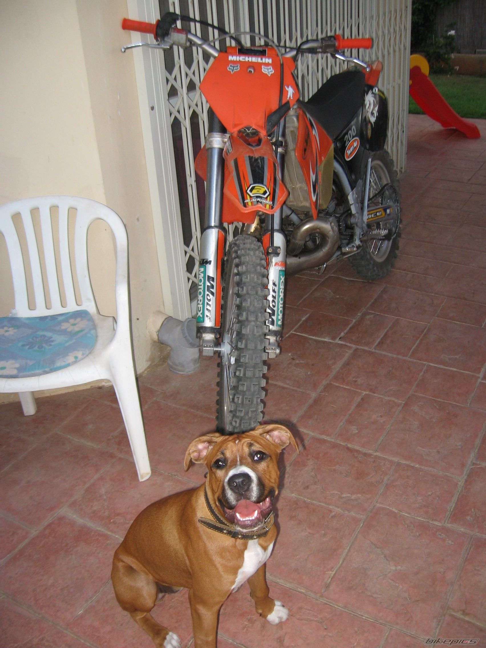 Bike Photo 635421