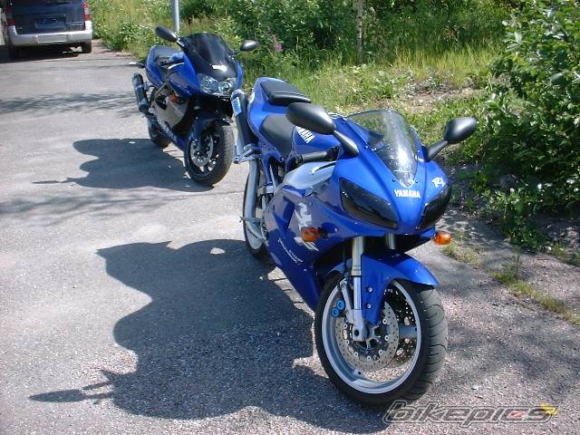 Photo 6355