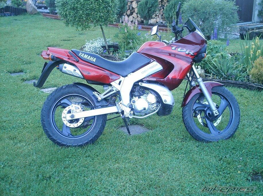 Bike Photo 636600