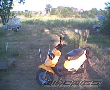 Photo 63721