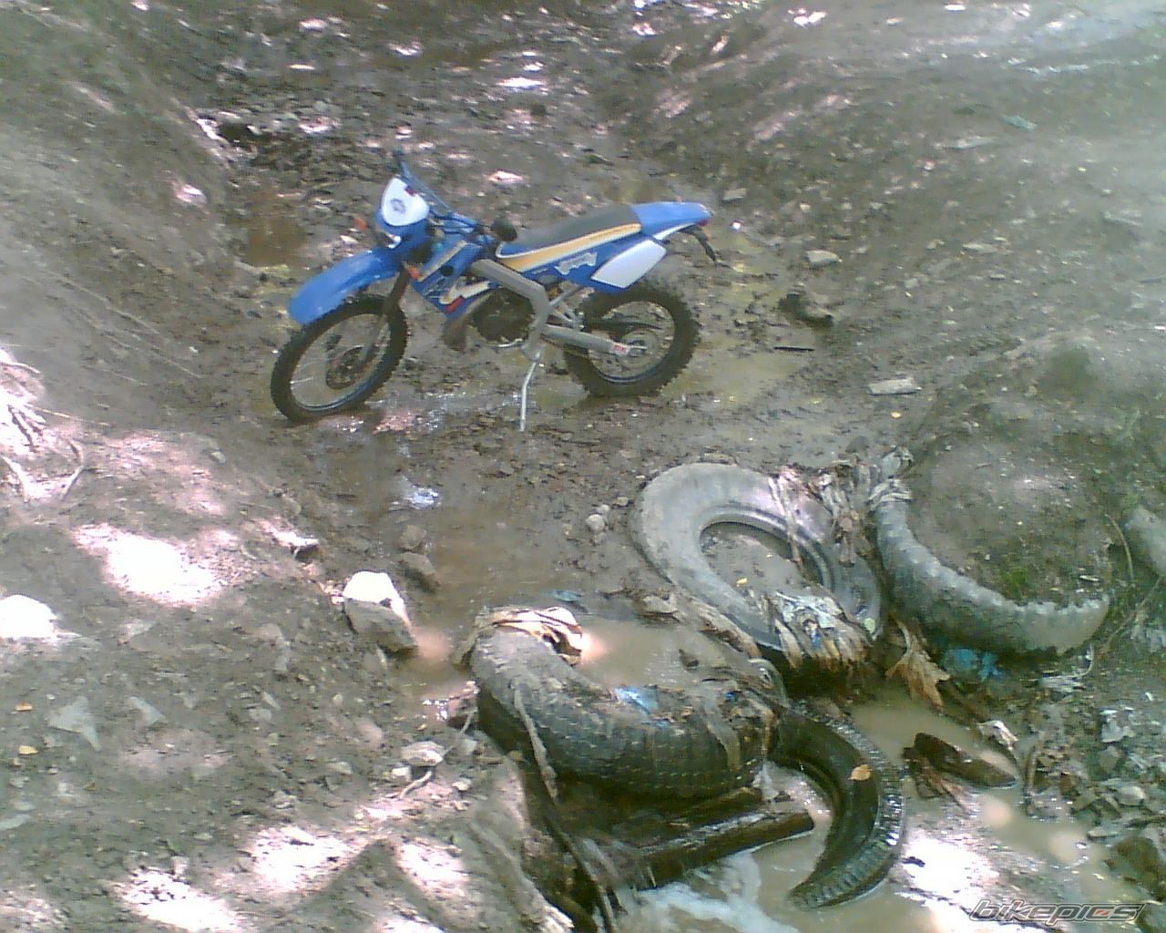 Bike Photo 637448