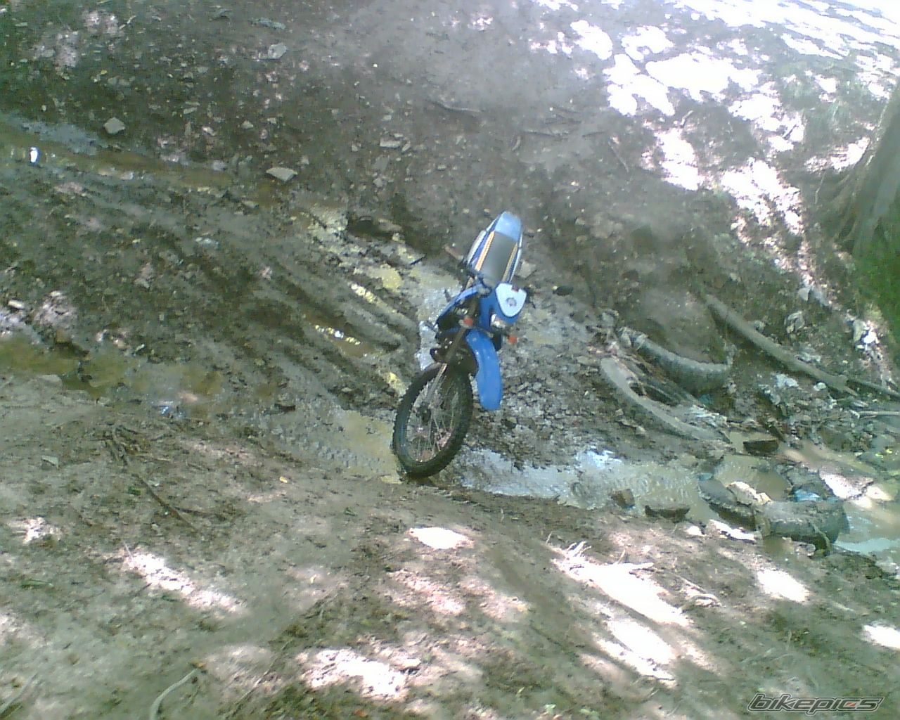 Bike Photo 637451