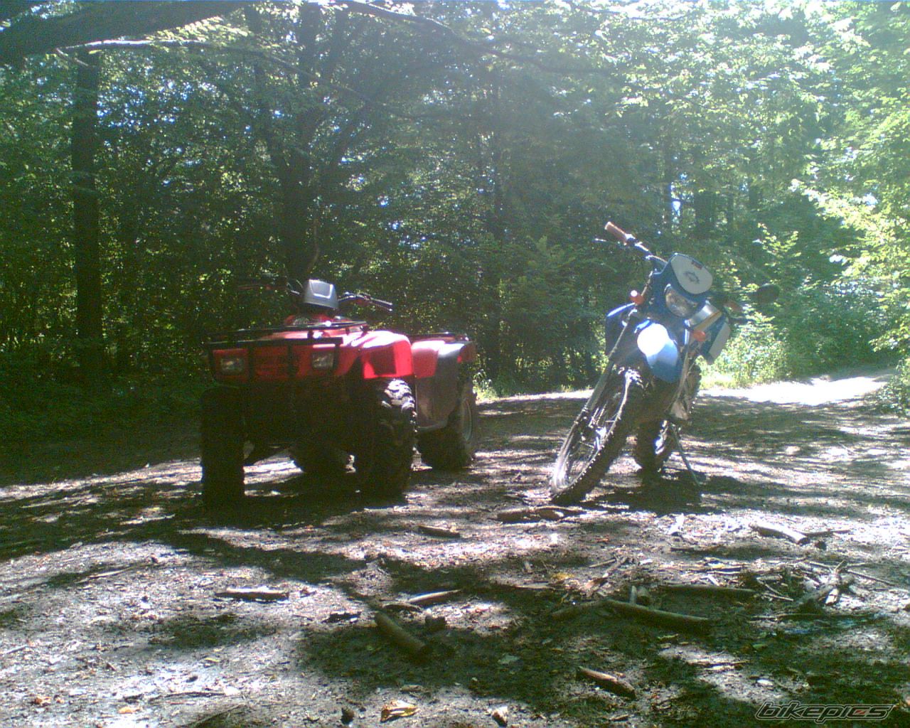 Bike Photo 637452