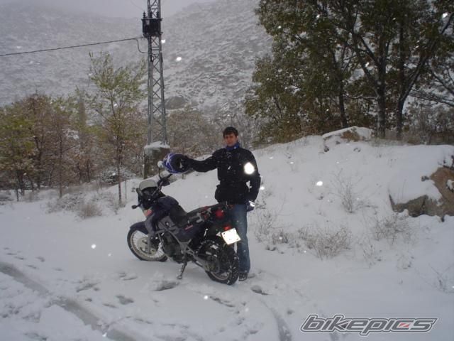 Bike Photo 637553