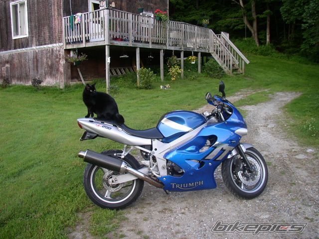 Bike Photo 637948