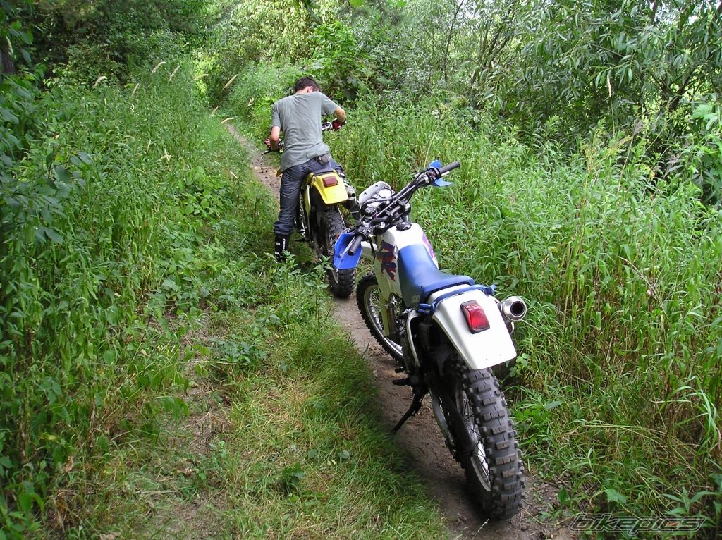 Bike Photo 638514