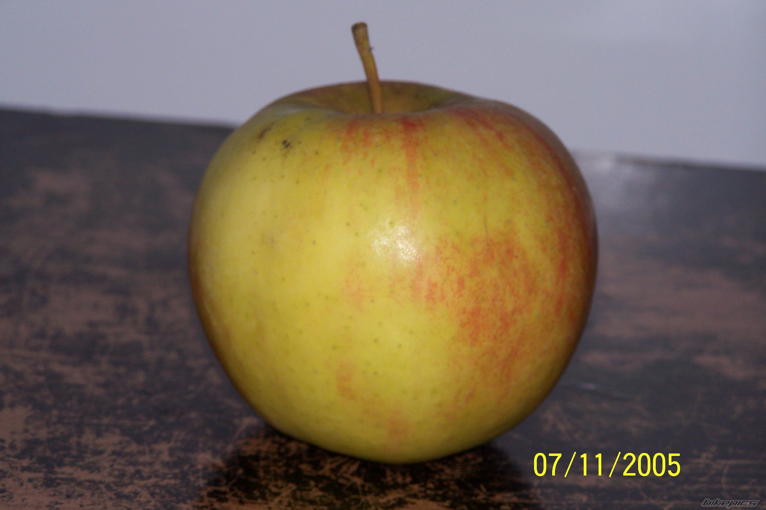 Photo 638687