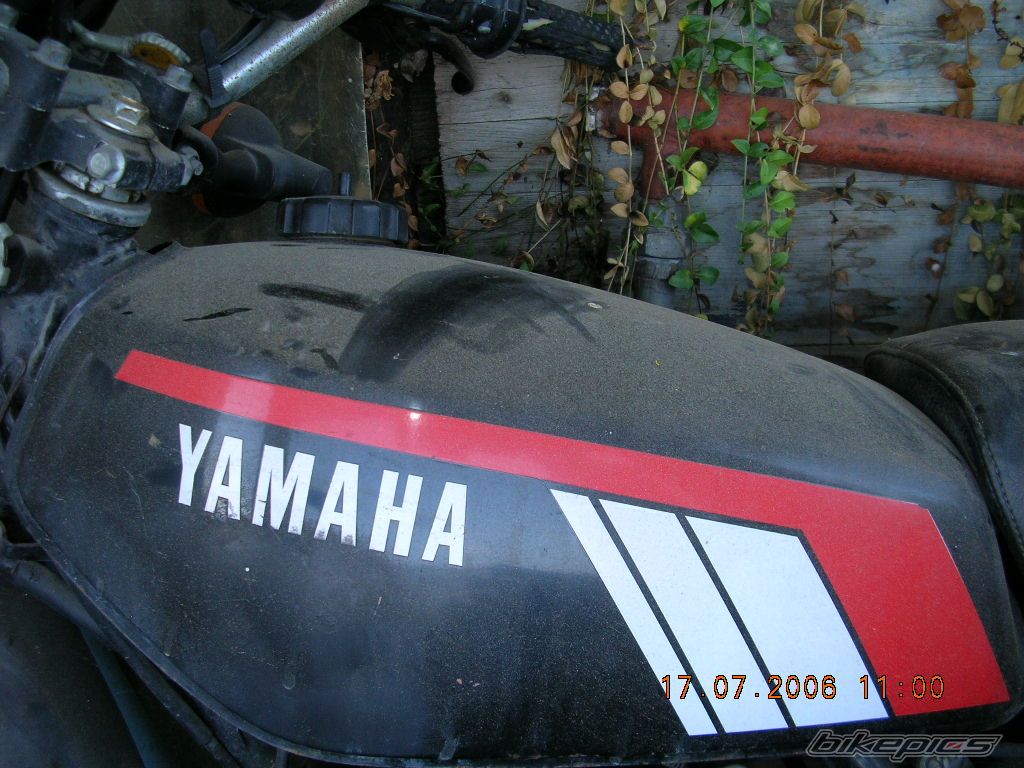 Bike Photo 638976