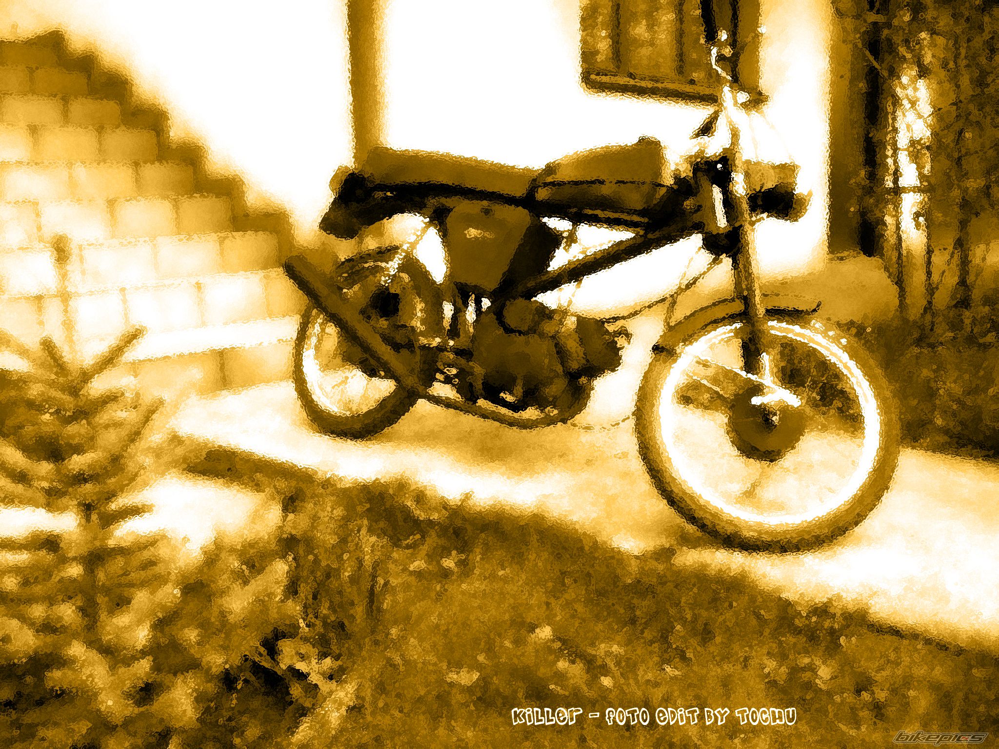 Photo 639136