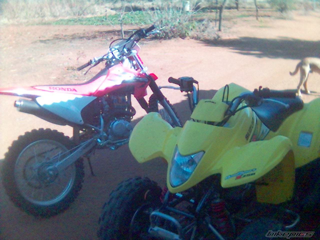 Photo 639244