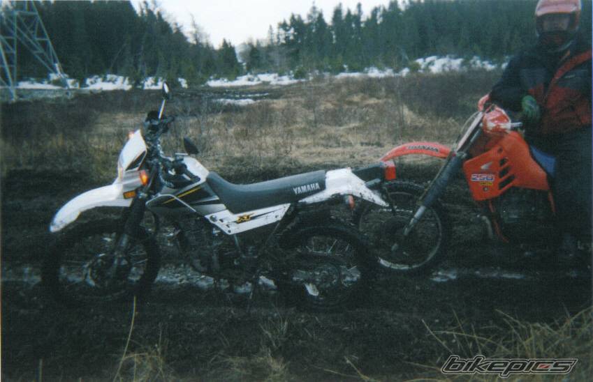 Photo 63926