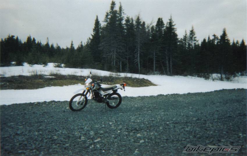 Photo 63938
